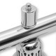 Светильник Fortuna Prestige Silver Green 5 плафонов, фотография 5
